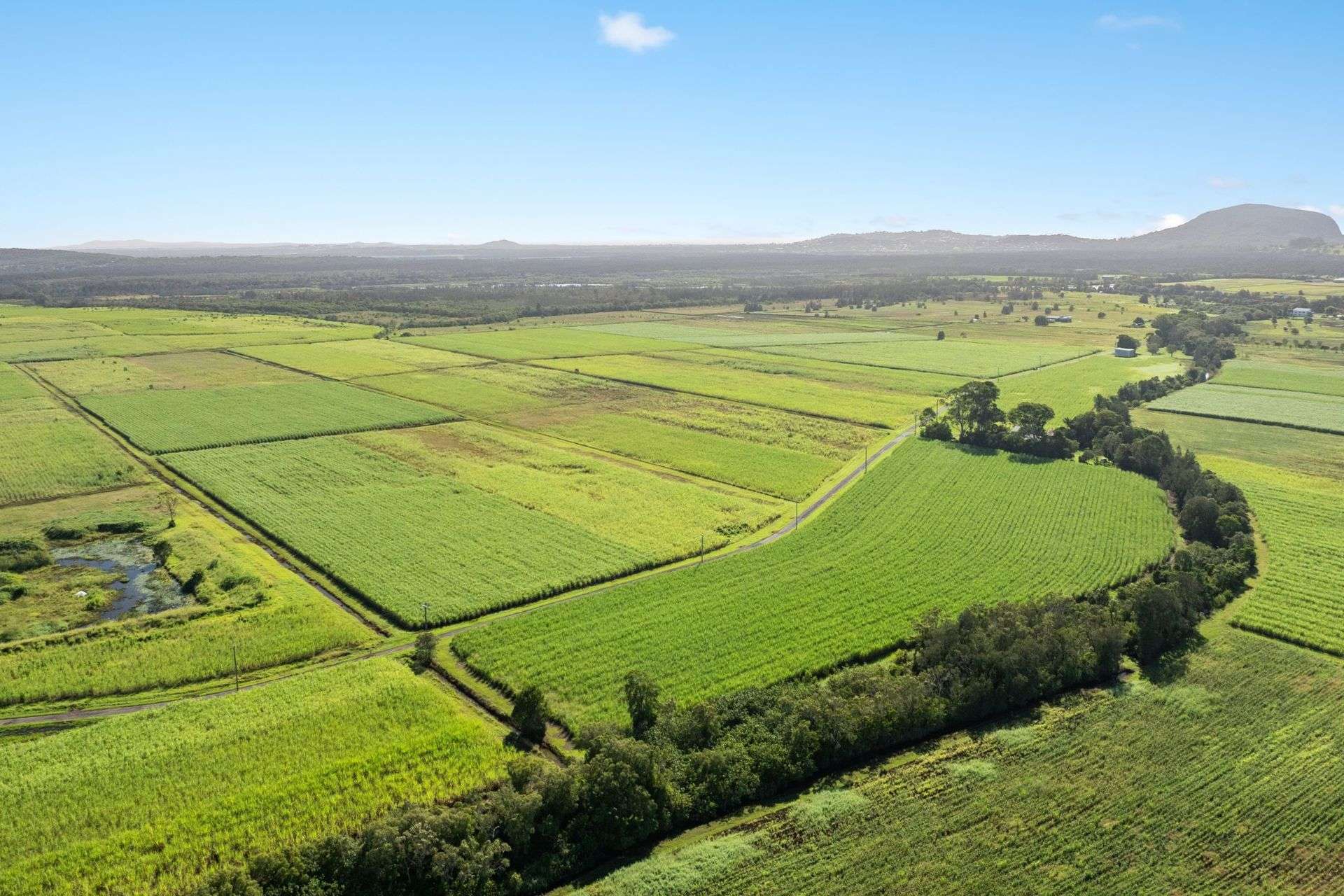 136 River Road, Maroochy River For Sale by Farmbuy.com - image 4