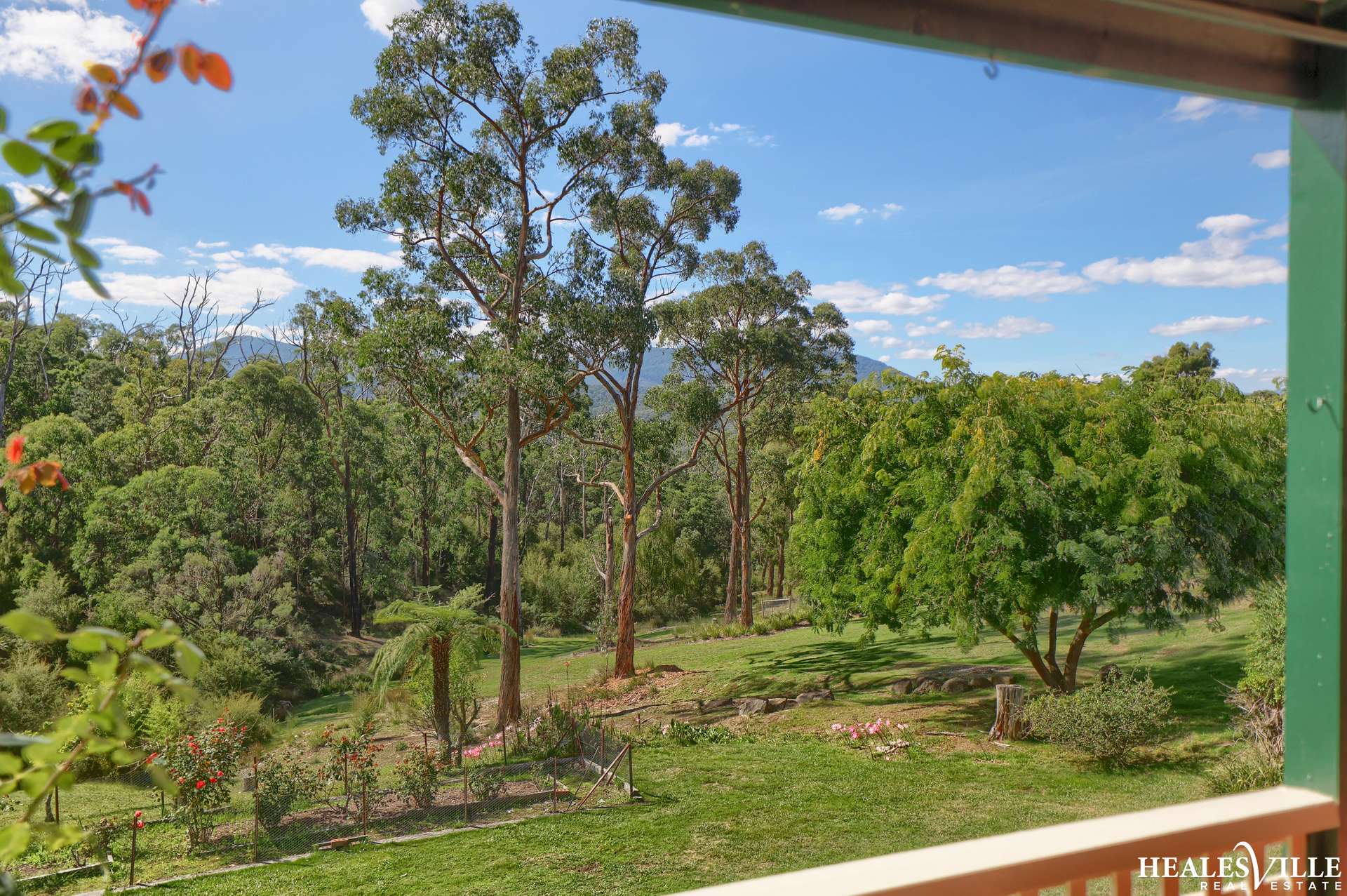 18 Chaffer Street, Chum Creek For Sale by Farmbuy.com - image 22