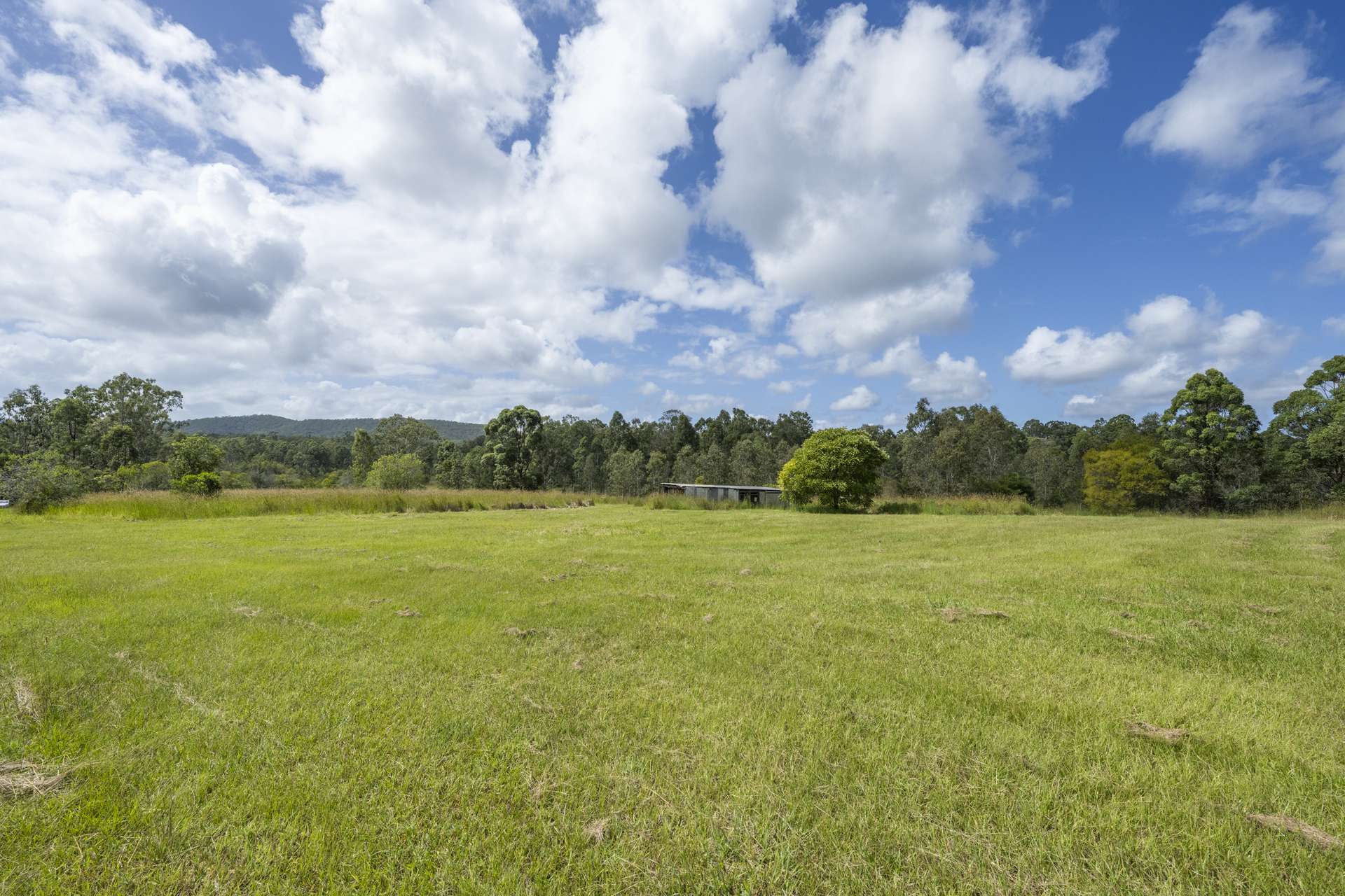 800 Firth Heinz Road, Pillar Valley For Sale by Farmbuy.com - image 18