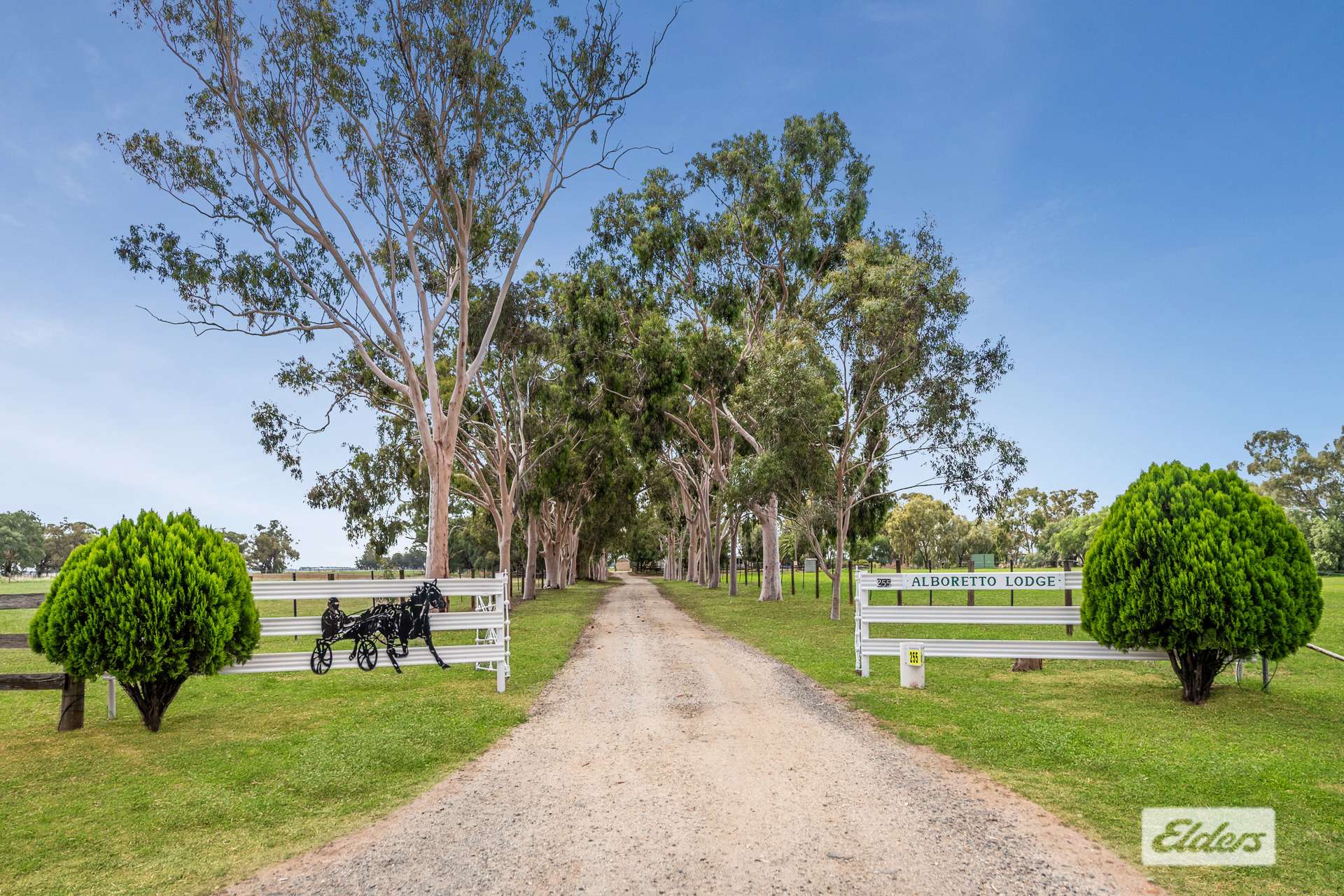 255 Rothackers Road, Serpentine For Sale by Farmbuy.com - image 1