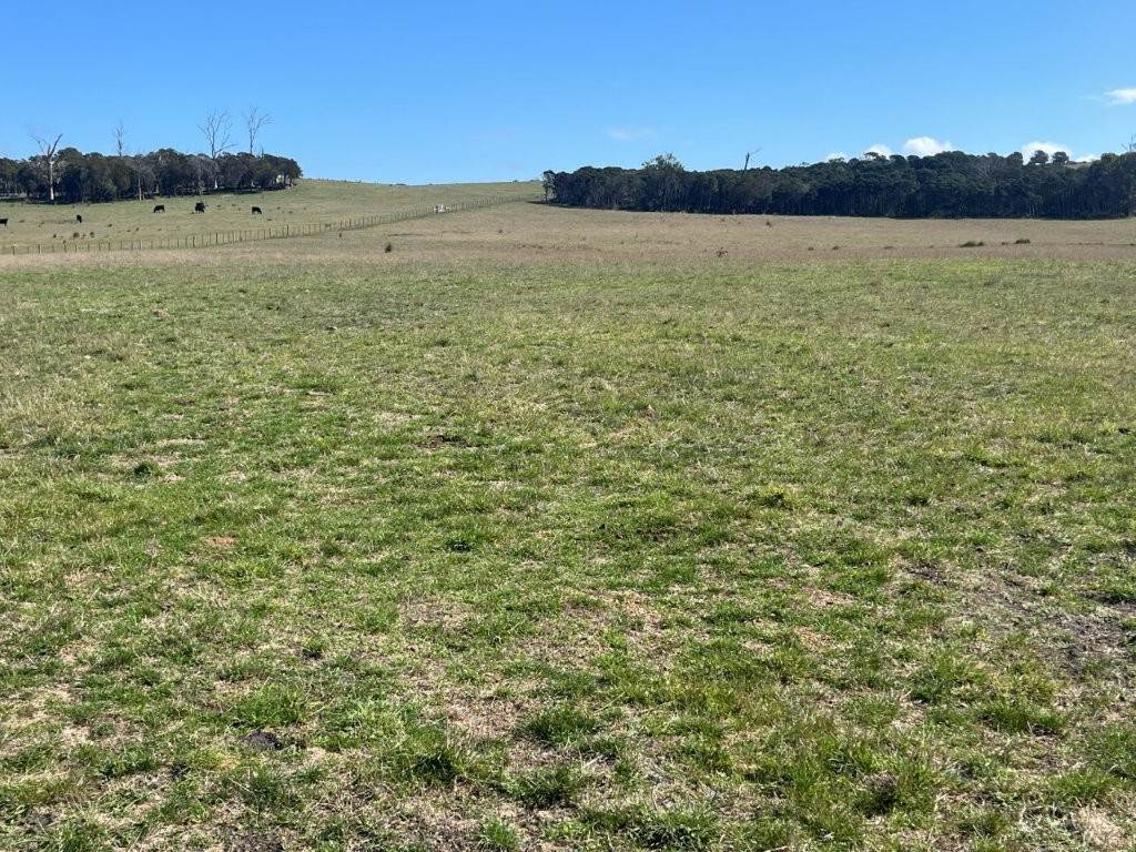 559 North Ansons Road, Gladstone For Sale by Farmbuy.com - image 15