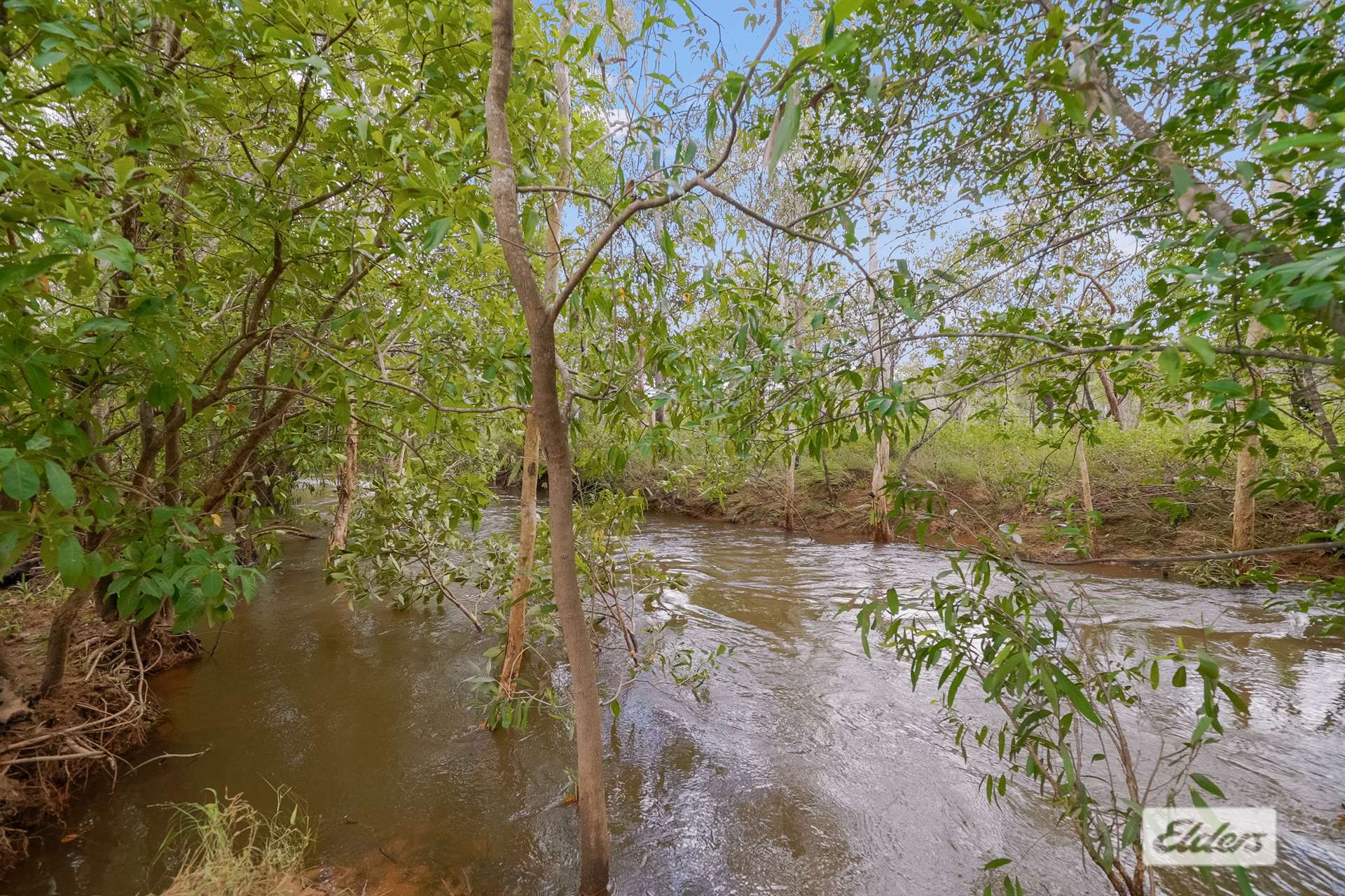 995 Cheeney Road, Batchelor For Sale by Farmbuy.com - image 25