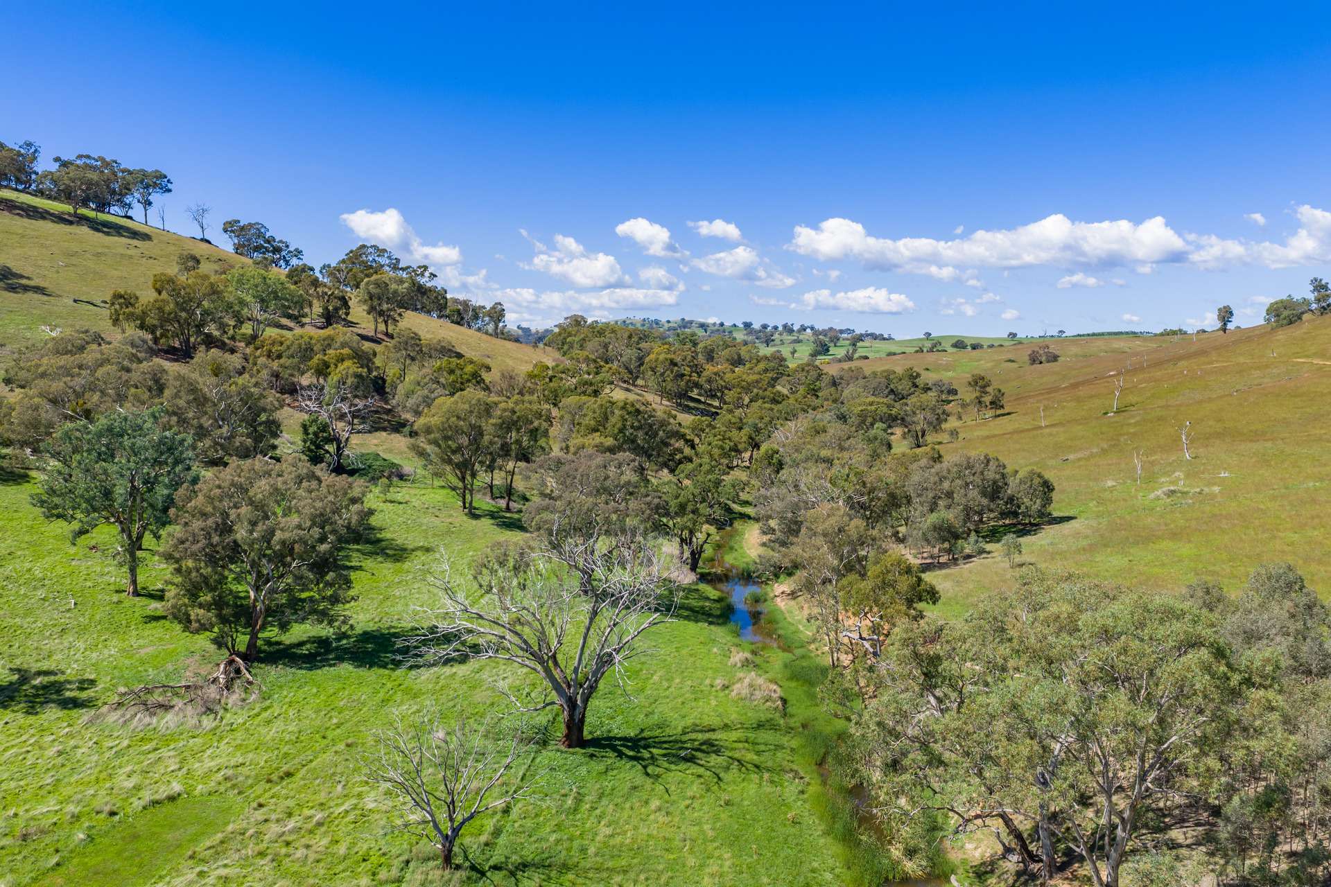 7479 Mid Western Highway, Lyndhurst Auction by Farmbuy.com - image 18