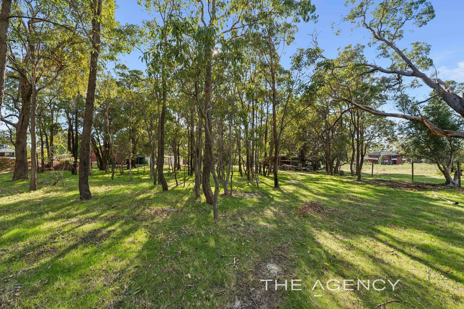 72 Reservoir Road, Orange Grove For Sale by Farmbuy.com - image 28