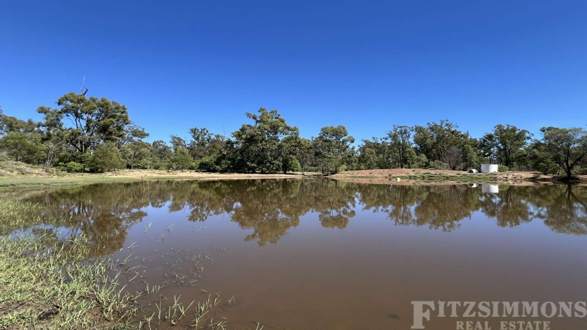 Braziers Road, Jandowae For Sale by Farmbuy.com - image 22
