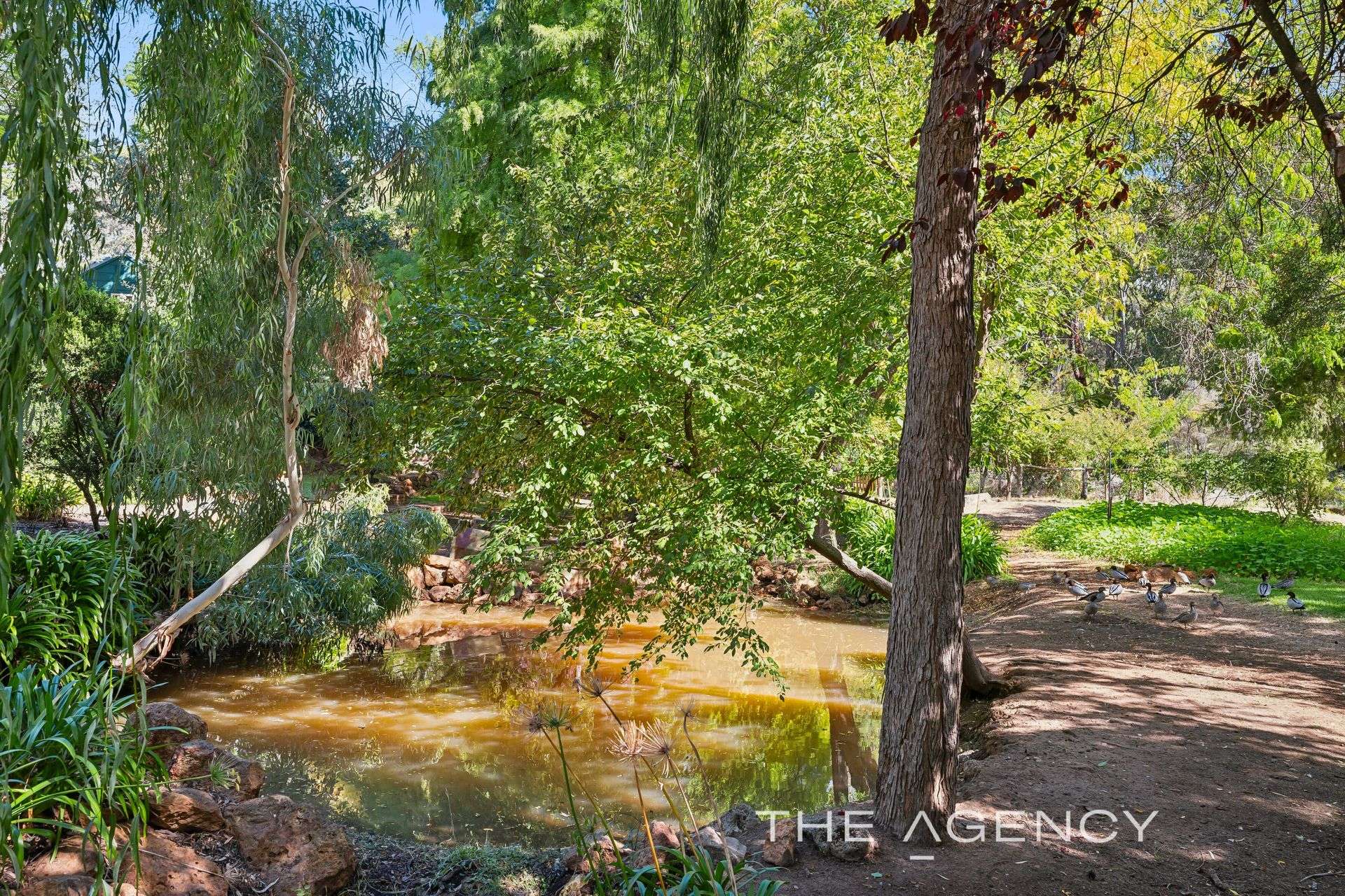 2 Hartung Street, Mundaring For Sale by Farmbuy.com - image 21