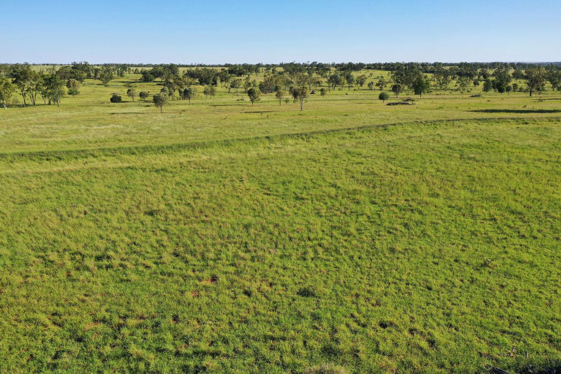 564 ORALLO ROAD, Roma Auction by Farmbuy.com - image 11