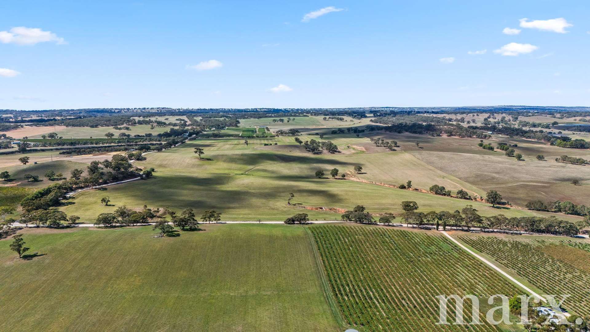 Lot 499 Gnadenberg Road, Moculta For Sale by Farmbuy.com - image 8