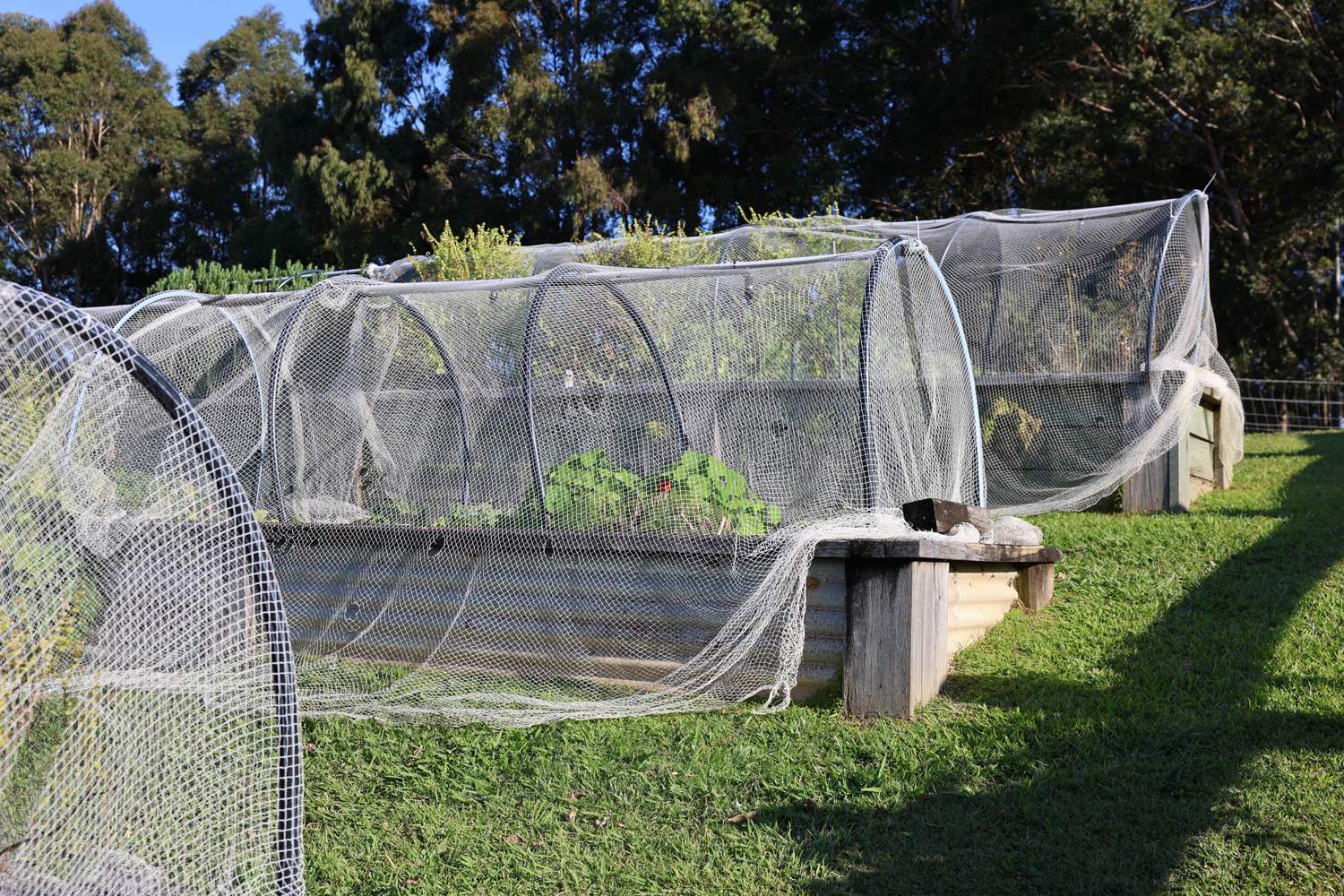 Cooroy Mountain For Sale by Farmbuy.com - image 27