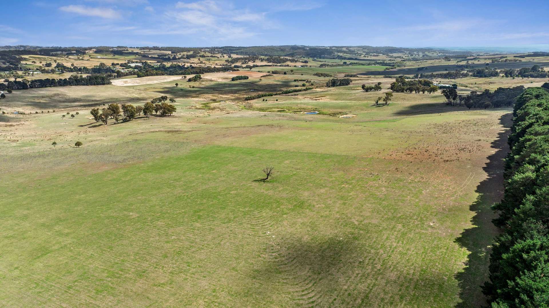 2770 Woodhouselee Road, Laggan Via, Crookwell Auction by Farmbuy.com - image 6