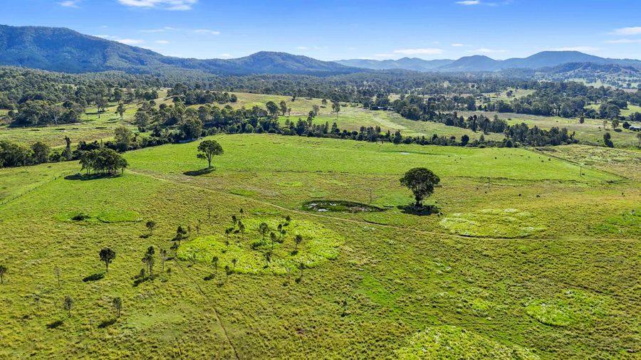 294 Glastonbury Creek Road, Glastonbury For Sale by Farmbuy.com - image 7