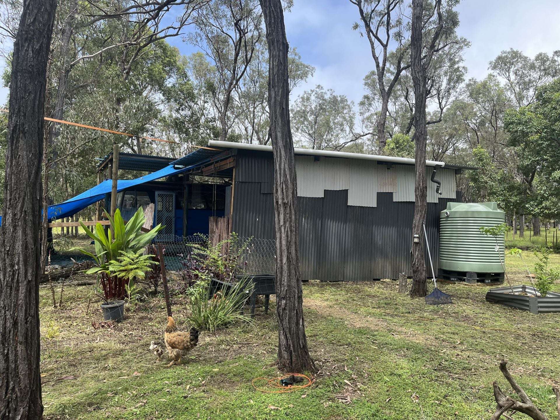 24 Dalrymple Drive, Millstream For Sale by Farmbuy.com - image 21