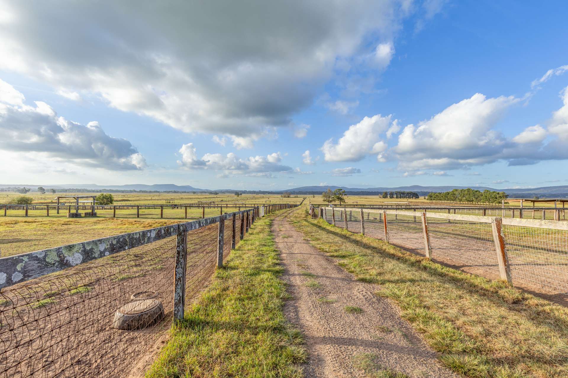 303 Clarence Town Road, Woodville For Sale by Farmbuy.com - image 16