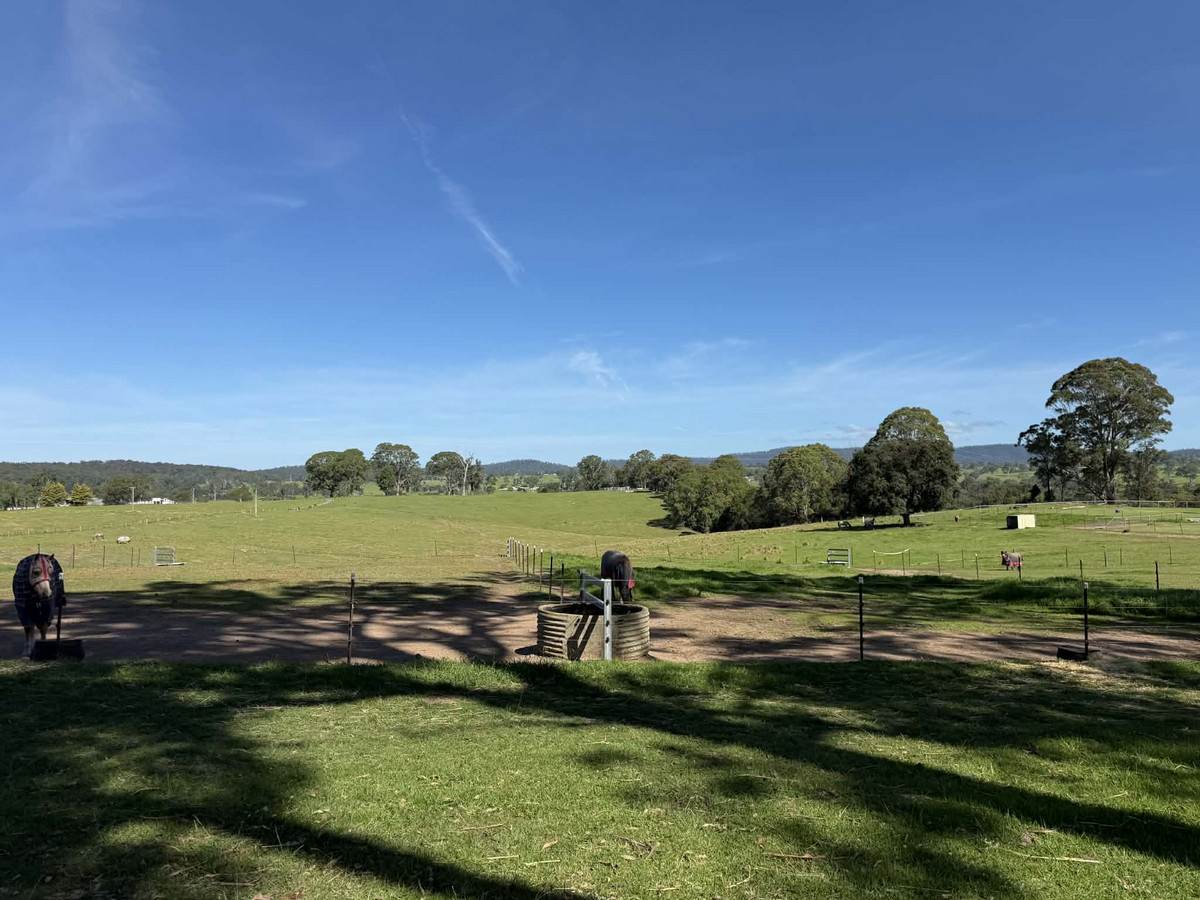 46 Jersey Place, Cobargo For Sale by Farmbuy.com - image 7