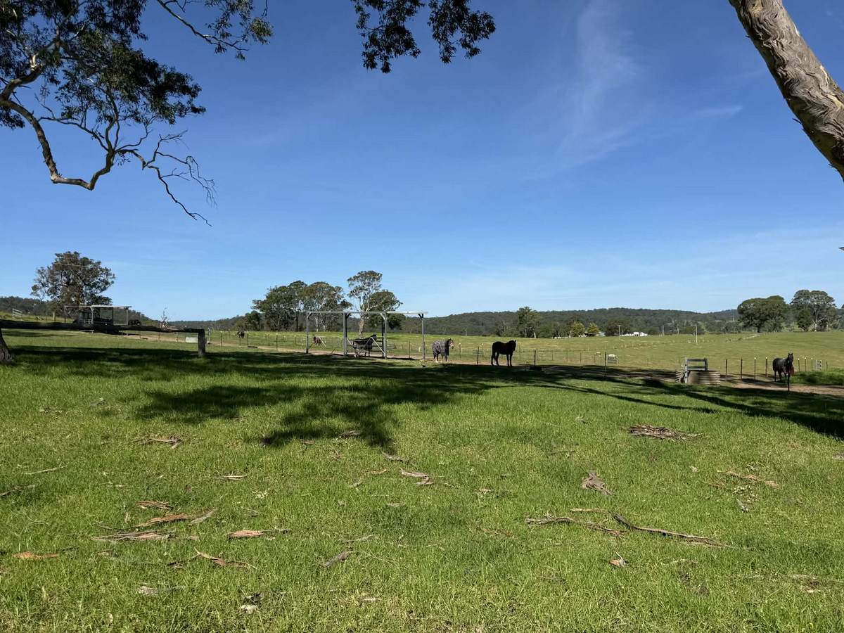 46 Jersey Place, Cobargo For Sale by Farmbuy.com - image 5