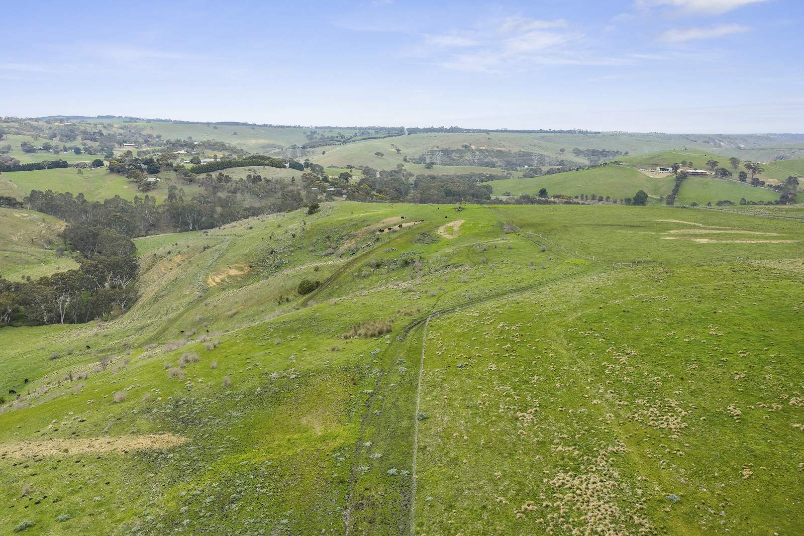 190 Konagaderra Road, Oaklands Junction Auction by Farmbuy.com - image 12