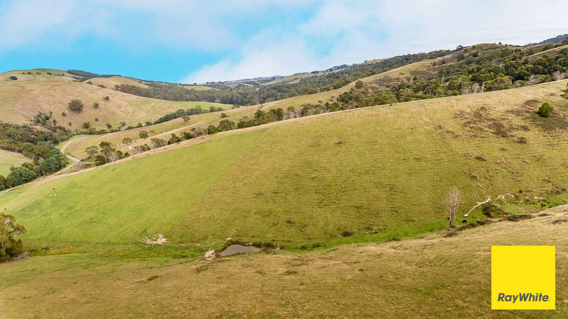 . Lamont Drive, Toora For Sale by Farmbuy.com - image 5