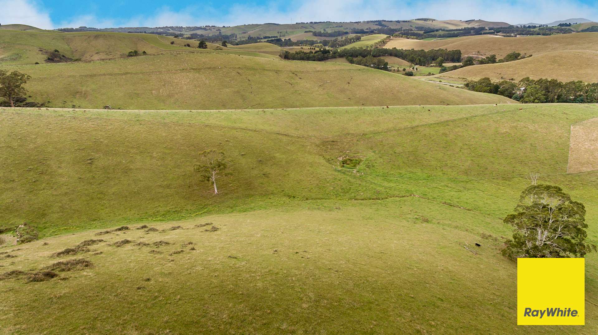 . Lamont Drive, Toora For Sale by Farmbuy.com - image 4