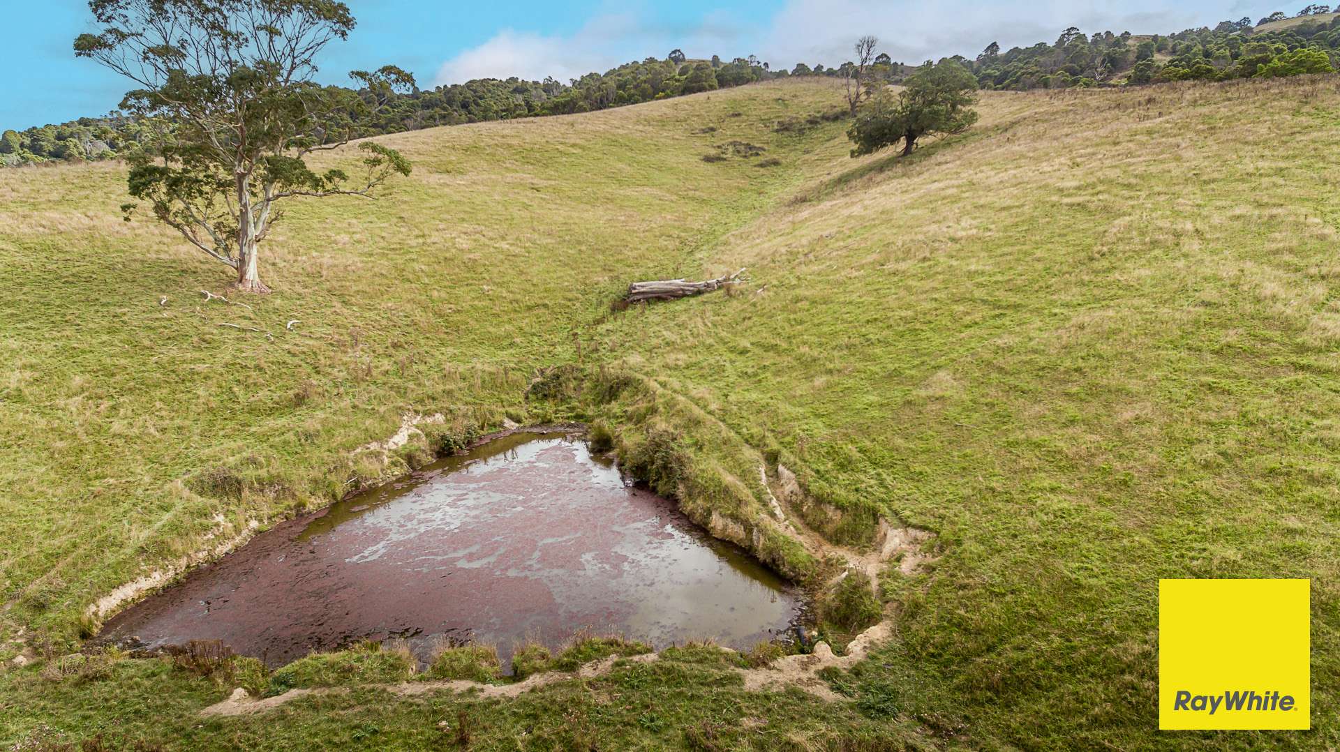 . Lamont Drive, Toora For Sale by Farmbuy.com - image 7