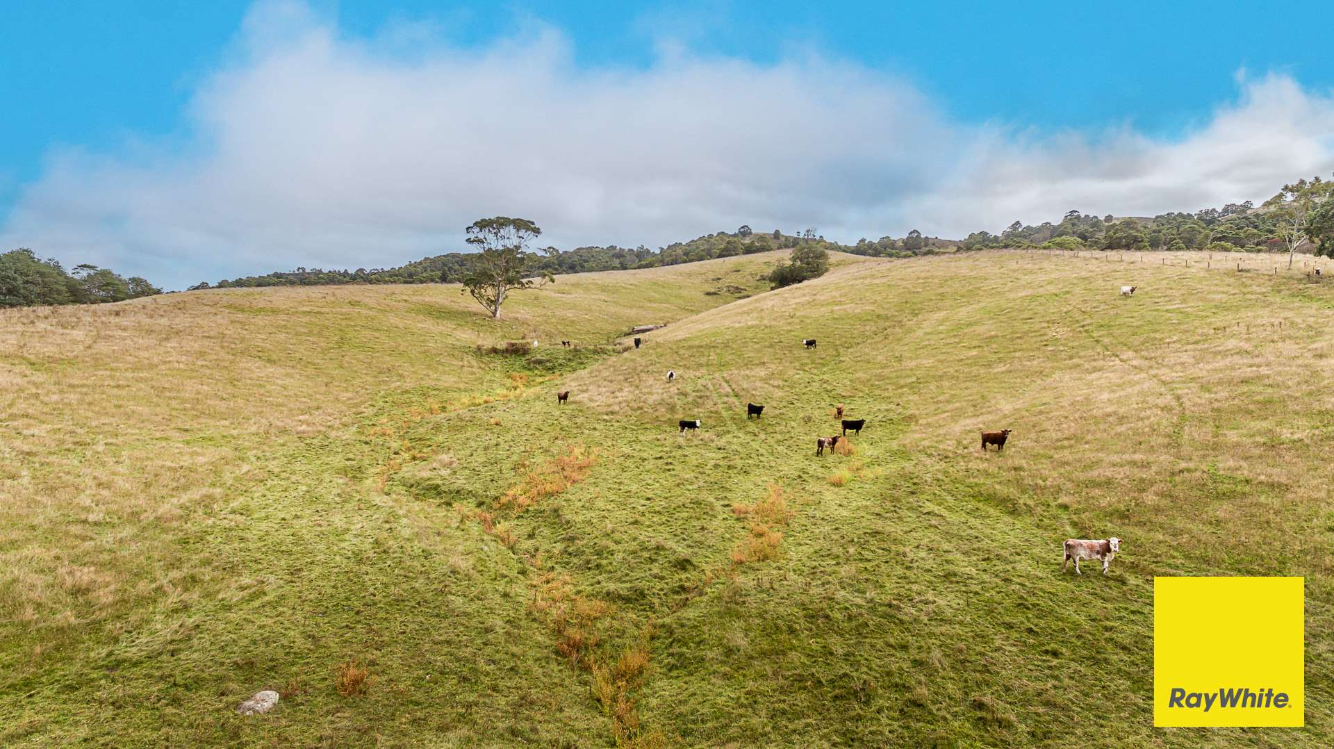 . Lamont Drive, Toora For Sale by Farmbuy.com - image 2
