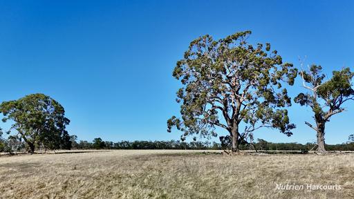 Allotment 39 Paynes Lane, Digby VIC 3309