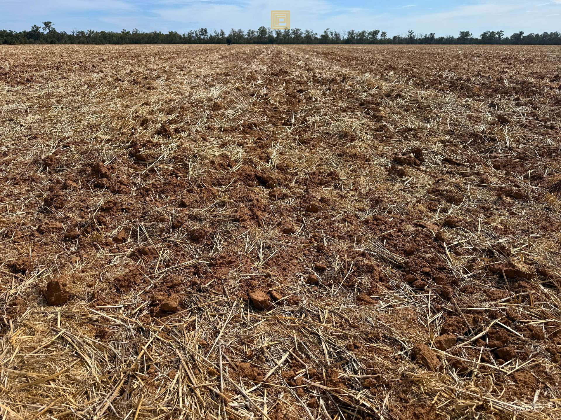 PART CARNDU/1098 Merimborough Lane, Pilliga For Sale by Farmbuy.com - image 1