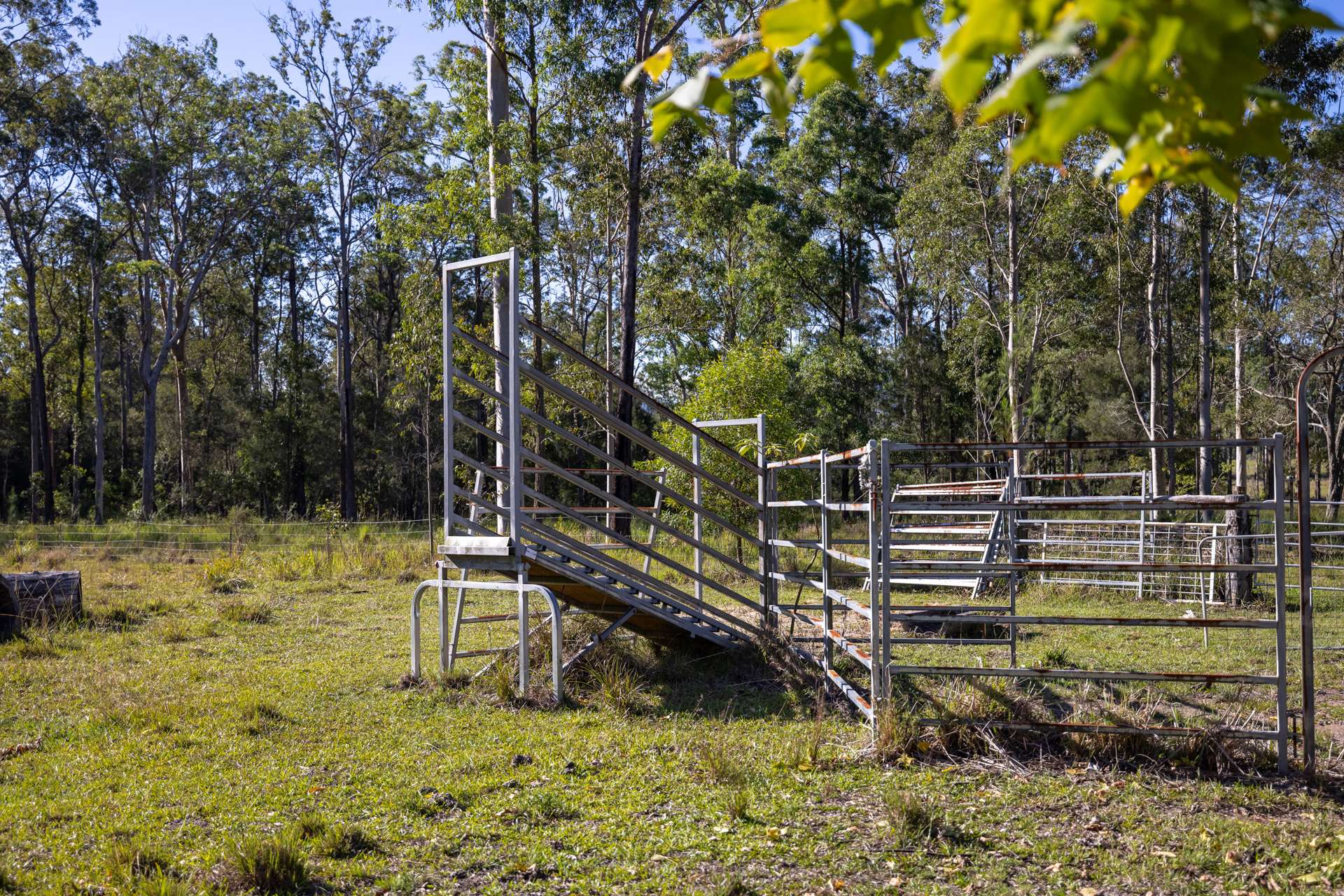 373 Upper Lansdowne Road, Melinga Auction by Farmbuy.com - image 17