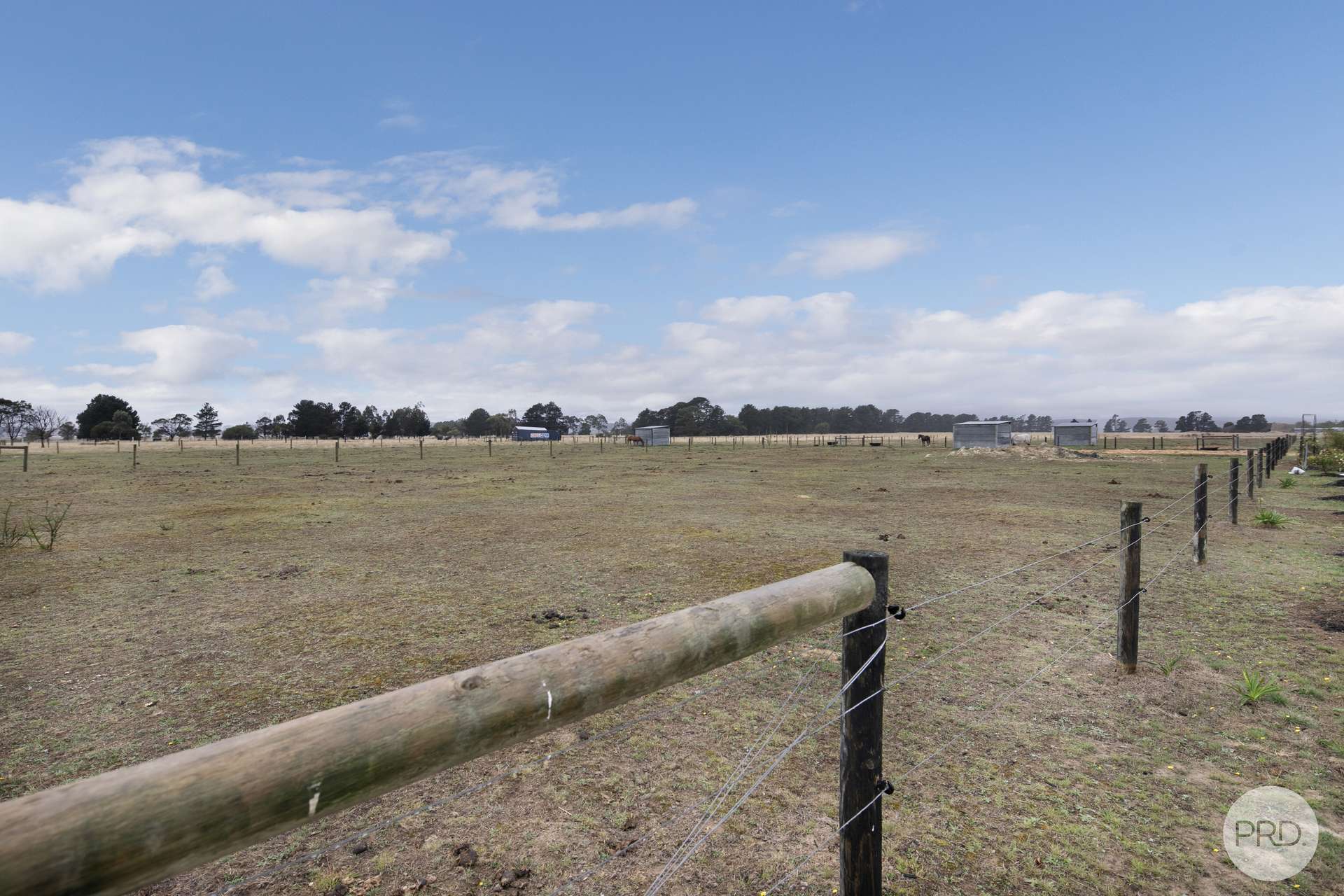 21 Exchequer Road, Cape Clear For Sale by Farmbuy.com - image 13