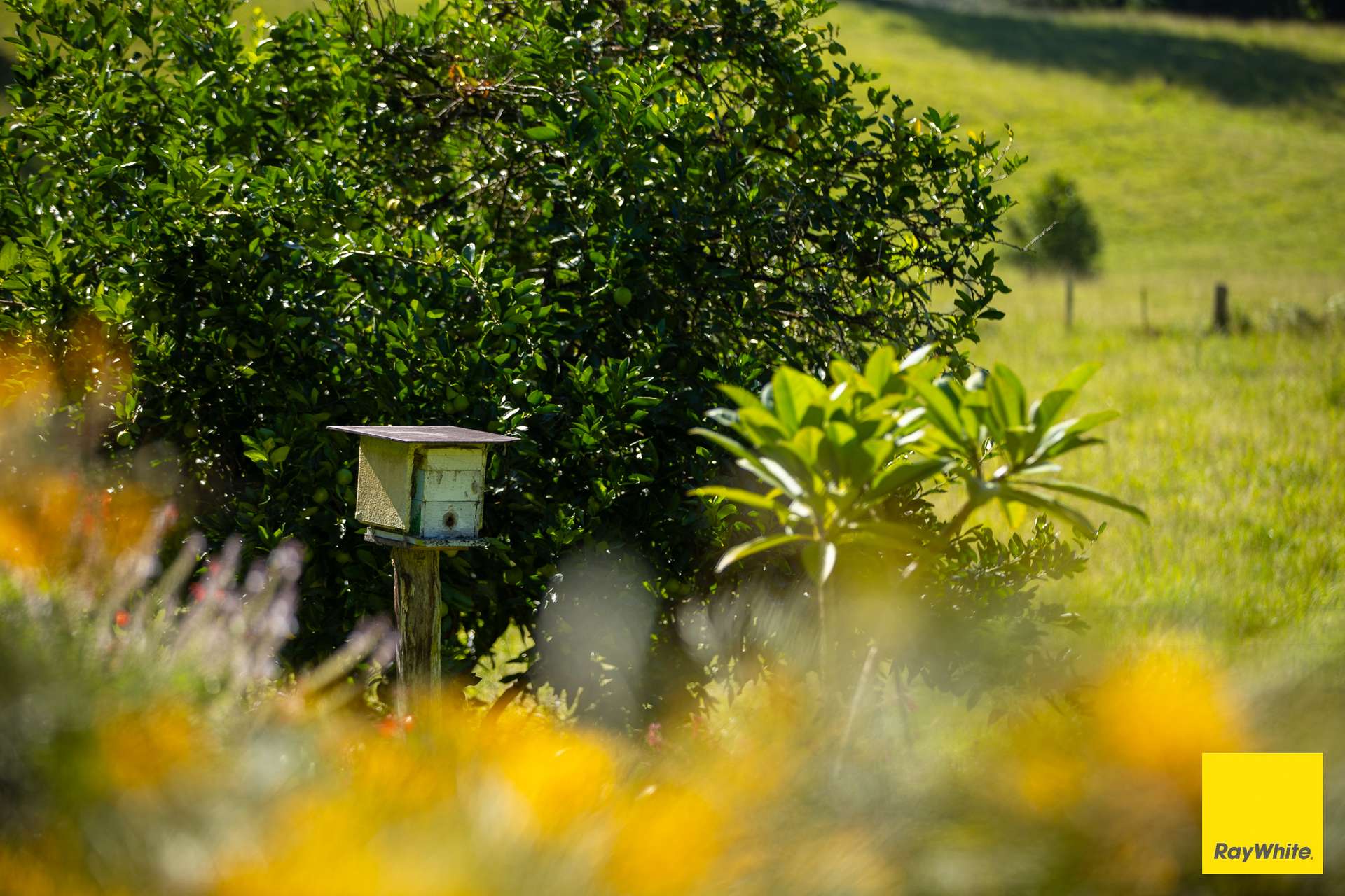 'Sunrise' Darkwood Road, Bellingen For Sale by Farmbuy.com - image 25