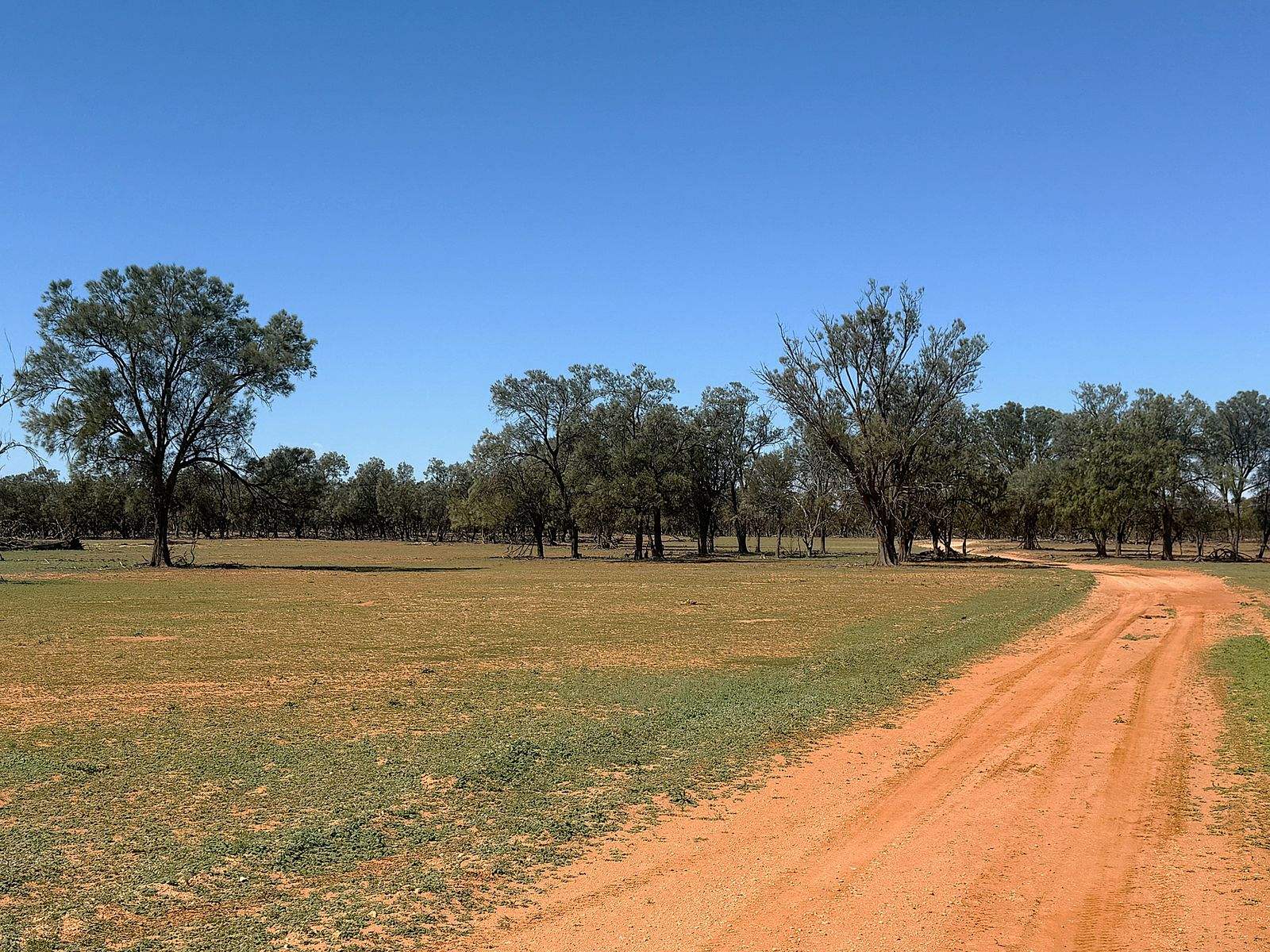 'Pinewood' Wentworth/Pooncarie Road, Wentworth For Sale by Farmbuy.com - image 9