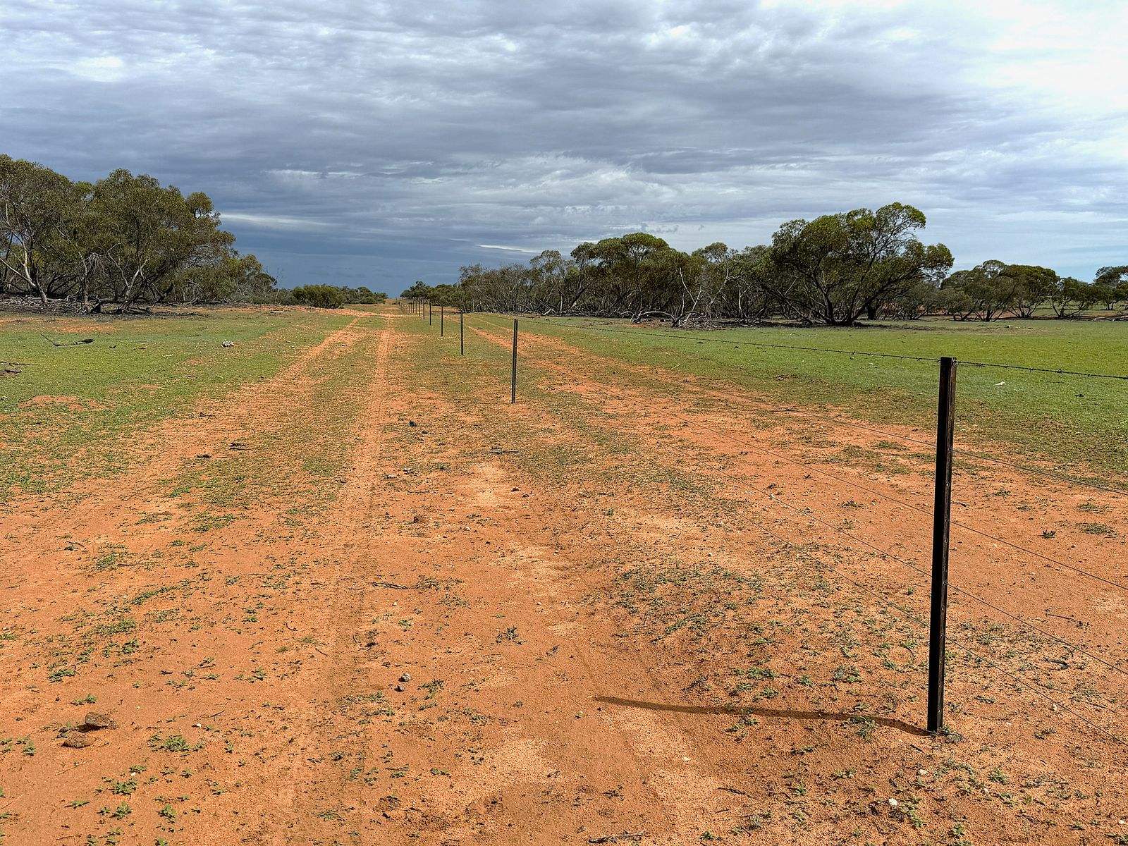 'Pinewood' Wentworth/Pooncarie Road, Wentworth For Sale by Farmbuy.com - image 21