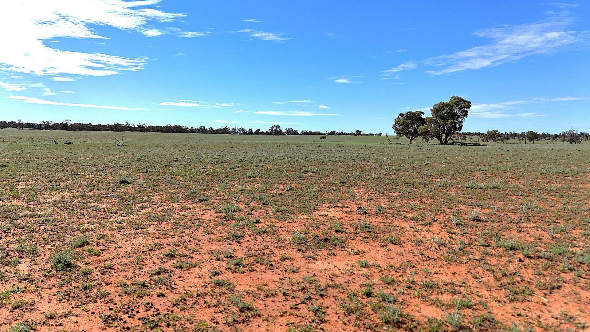 'Pinewood' Wentworth/Pooncarie Road, Wentworth For Sale by Farmbuy.com - image 16