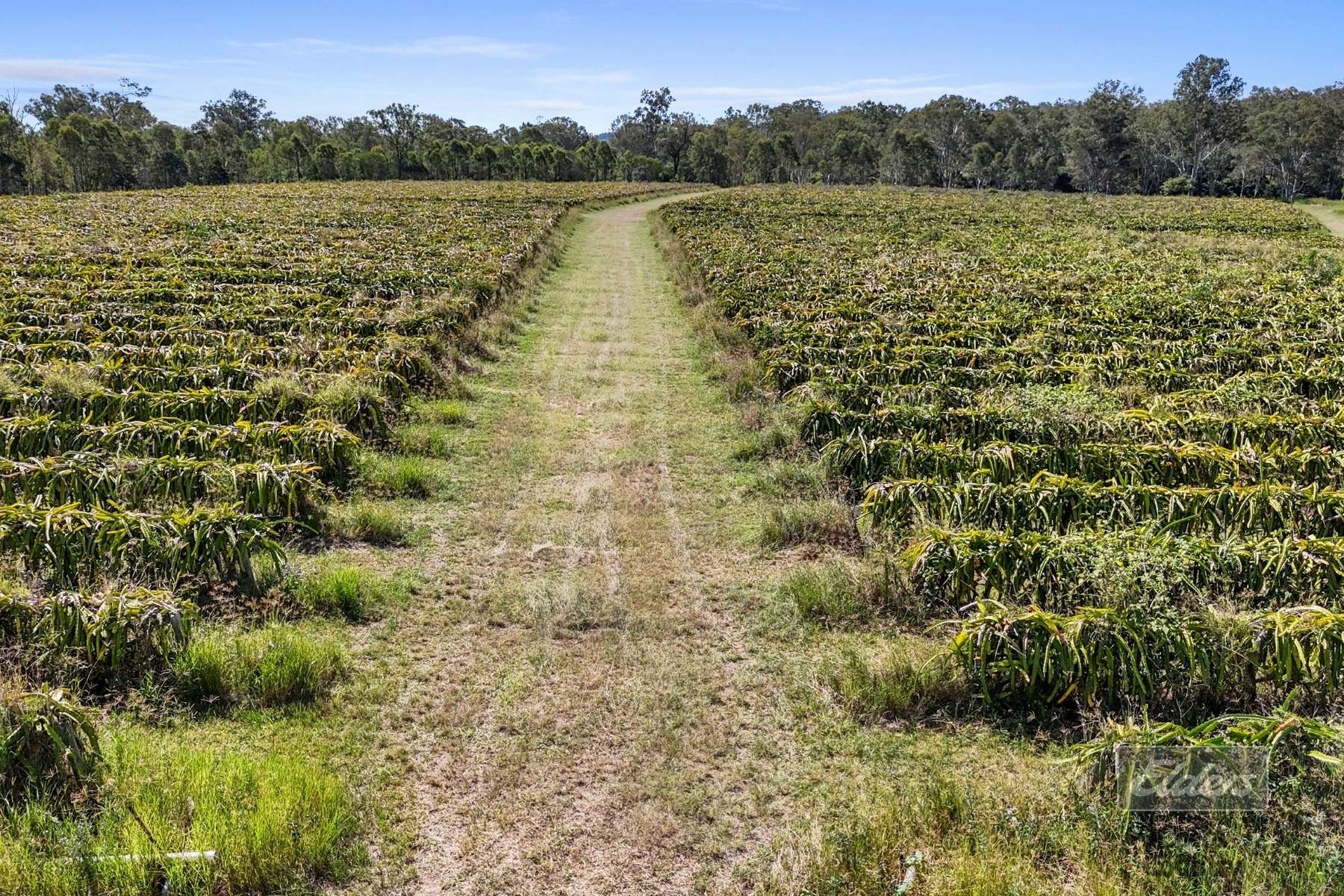 288 Blowers Road, Munna Creek For Sale by Farmbuy.com - image 10