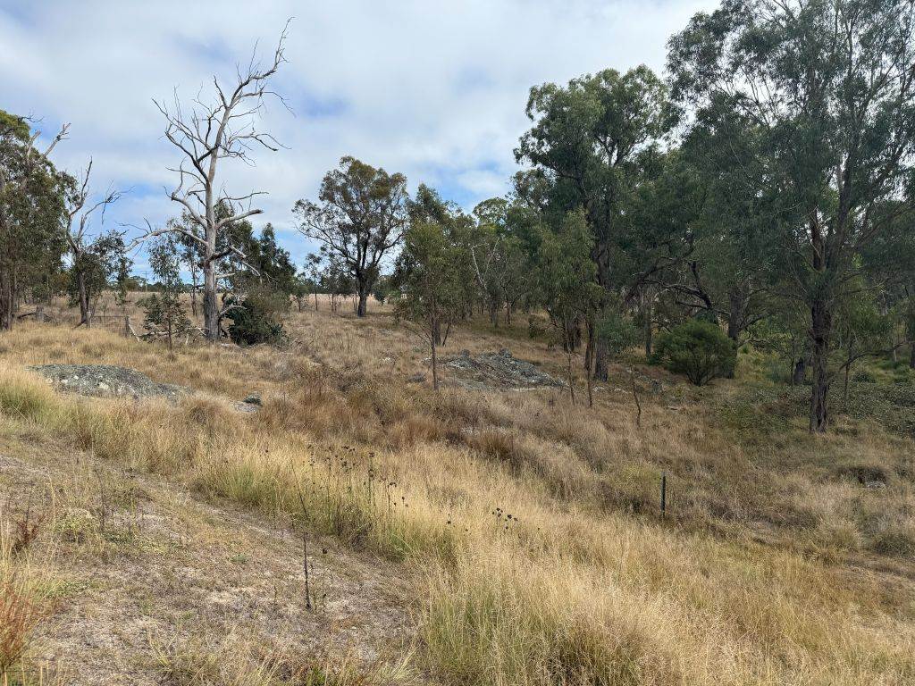 57 Nielsens Road, Sugarloaf For Sale by Farmbuy.com - image 7