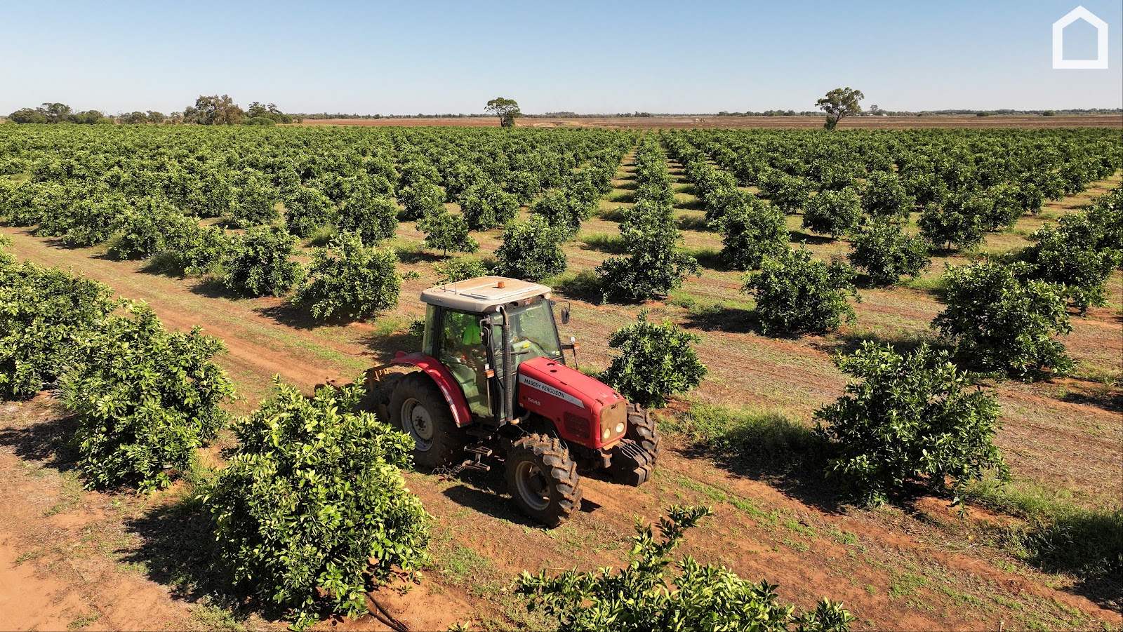 71 Bonomi Road, Willbriggie For Sale by Farmbuy.com - image 5