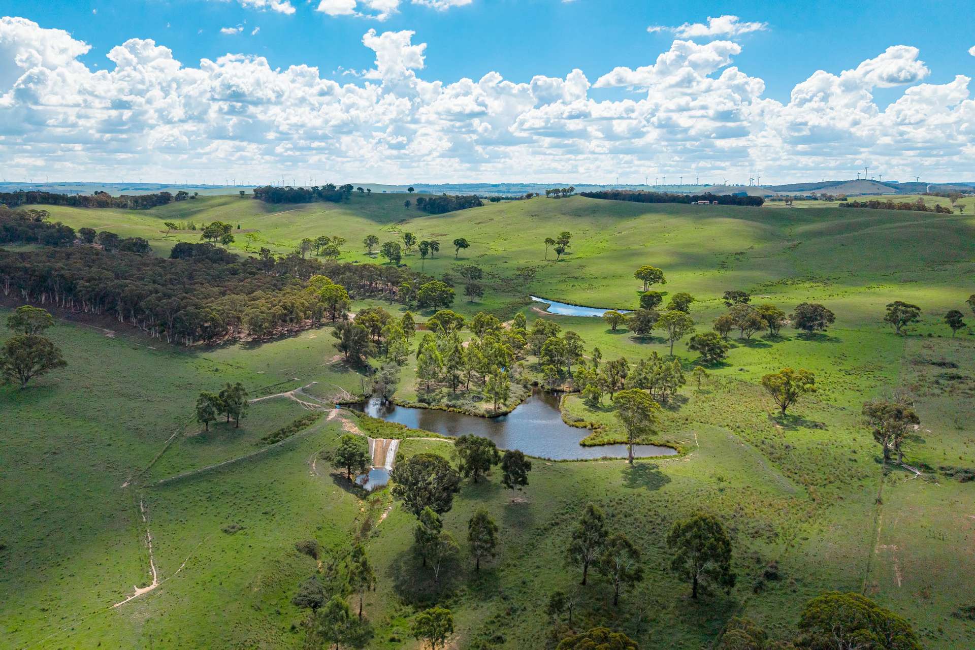 68 Woodhouselee Road, Wayo Via, Goulburn Auction by Farmbuy.com - image 1
