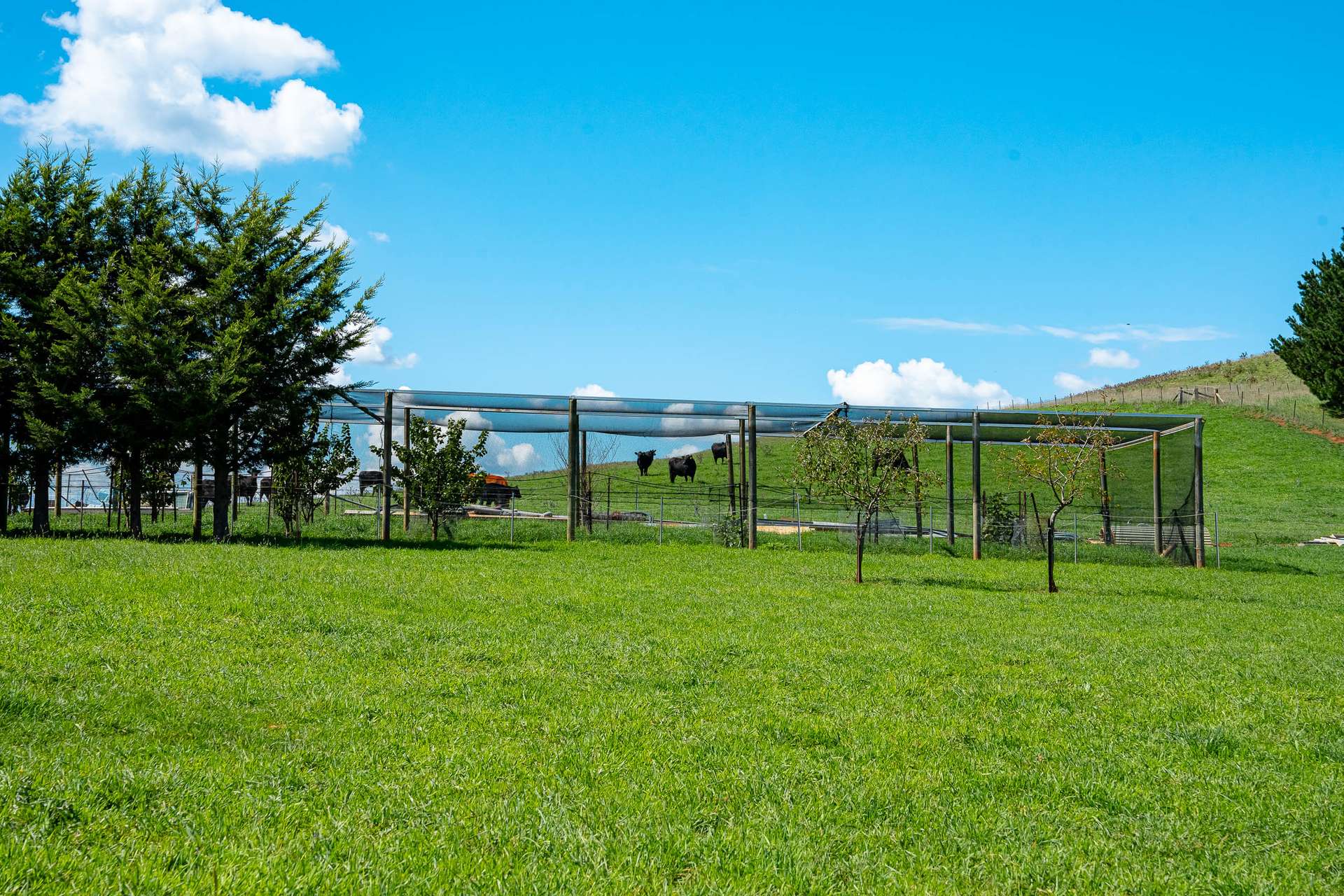 68 Woodhouselee Road, Wayo Via, Goulburn Auction by Farmbuy.com - image 21