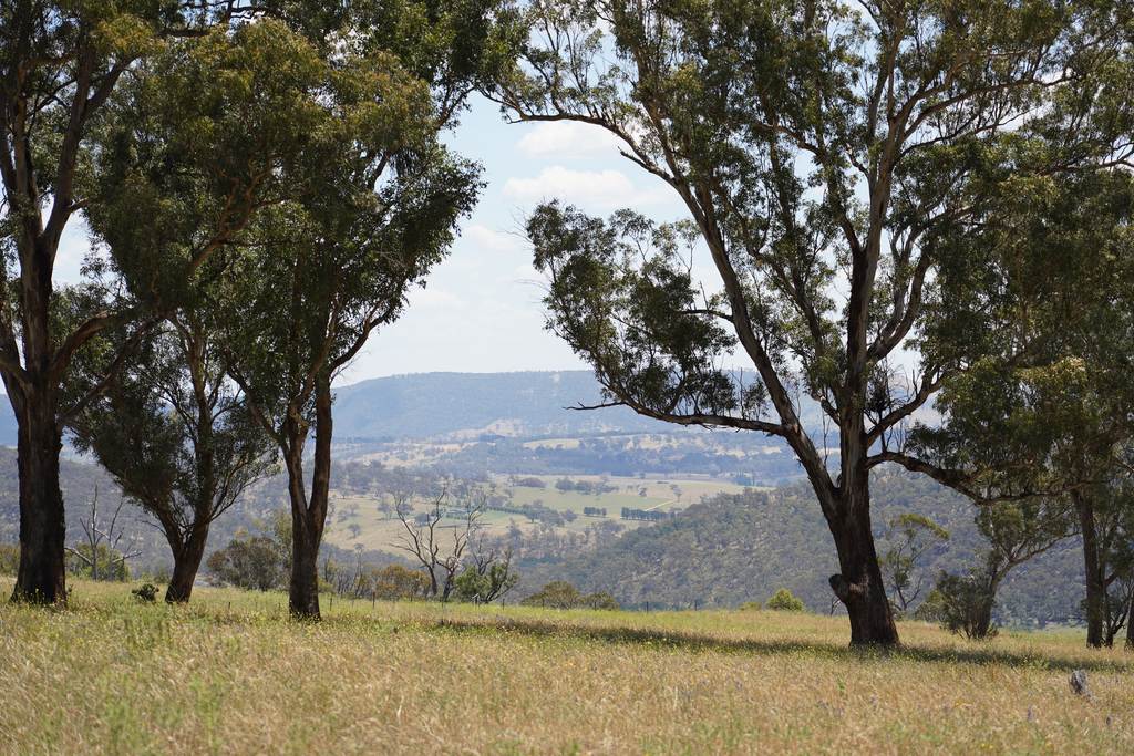 Lot 2 - 410 Honeysuckle Falls Road, Tarana NSW 2787