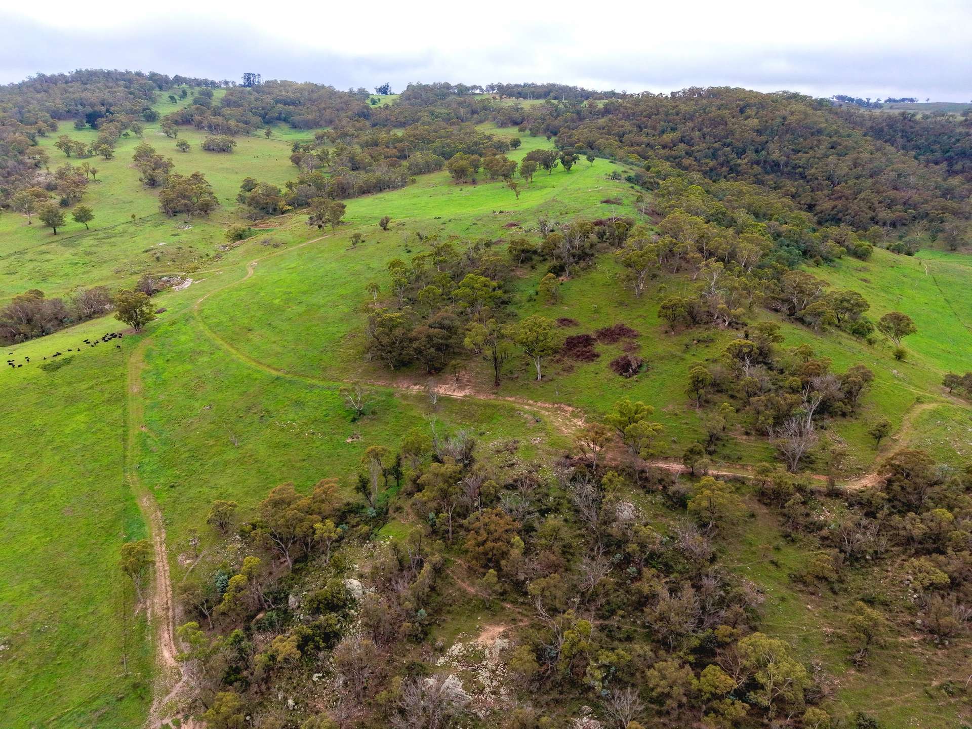 Lot 2 - 410 Honeysuckle Falls Road, Tarana For Sale by Farmbuy.com - image 31