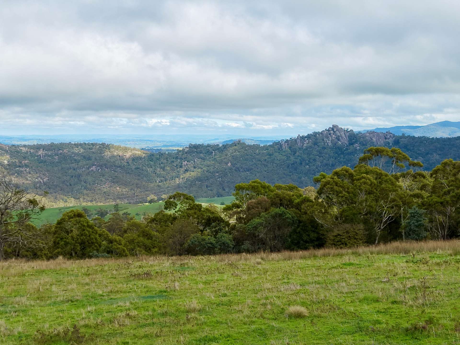 Lot 2 - 410 Honeysuckle Falls Road, Tarana For Sale by Farmbuy.com - image 22