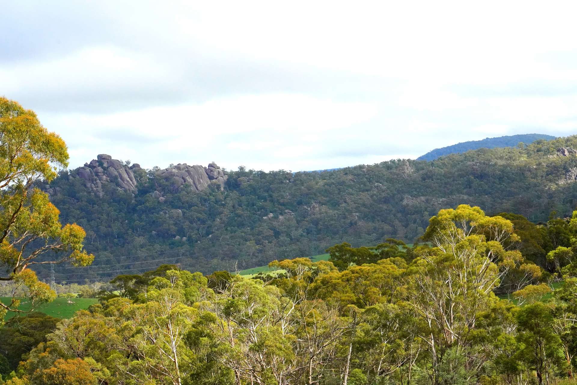 Lot 2 - 410 Honeysuckle Falls Road, Tarana For Sale by Farmbuy.com - image 27