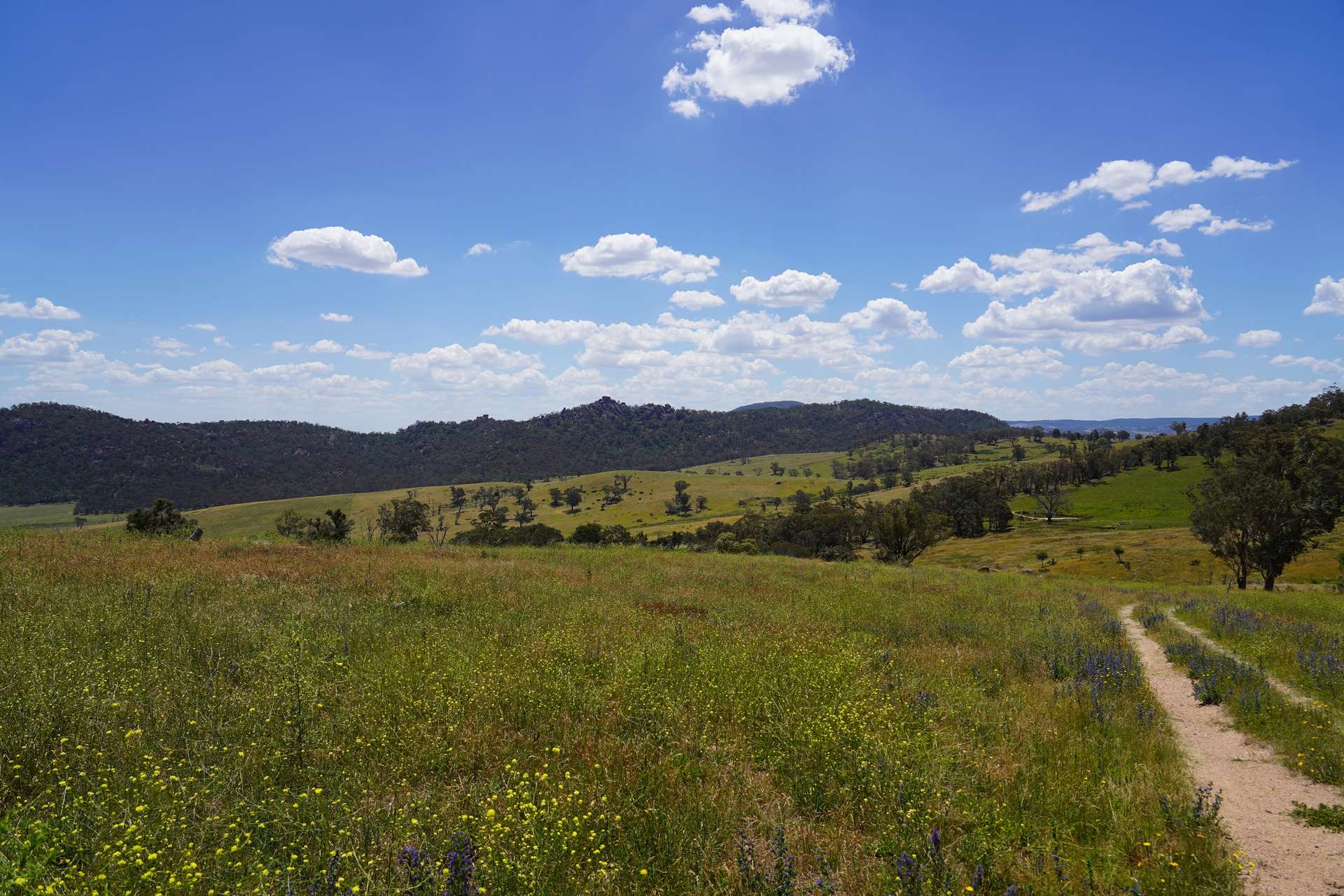 Lot 2 - 410 Honeysuckle Falls Road, Tarana For Sale by Farmbuy.com - image 4