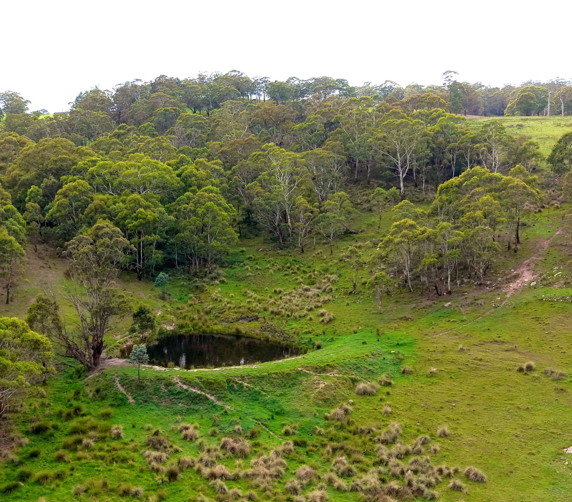 Lot 2 - 410 Honeysuckle Falls Road, Tarana For Sale by Farmbuy.com - image 25