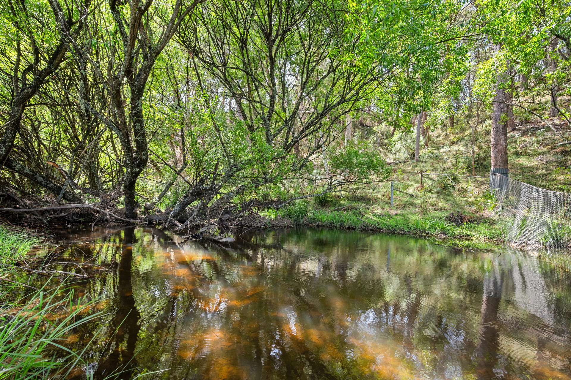 1149 Charleys Forest, Braidwood For Sale by Farmbuy.com - image 14