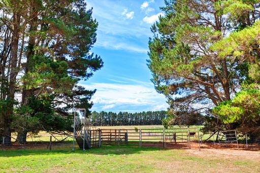 1149 Charleys Forest, Braidwood NSW 2622
