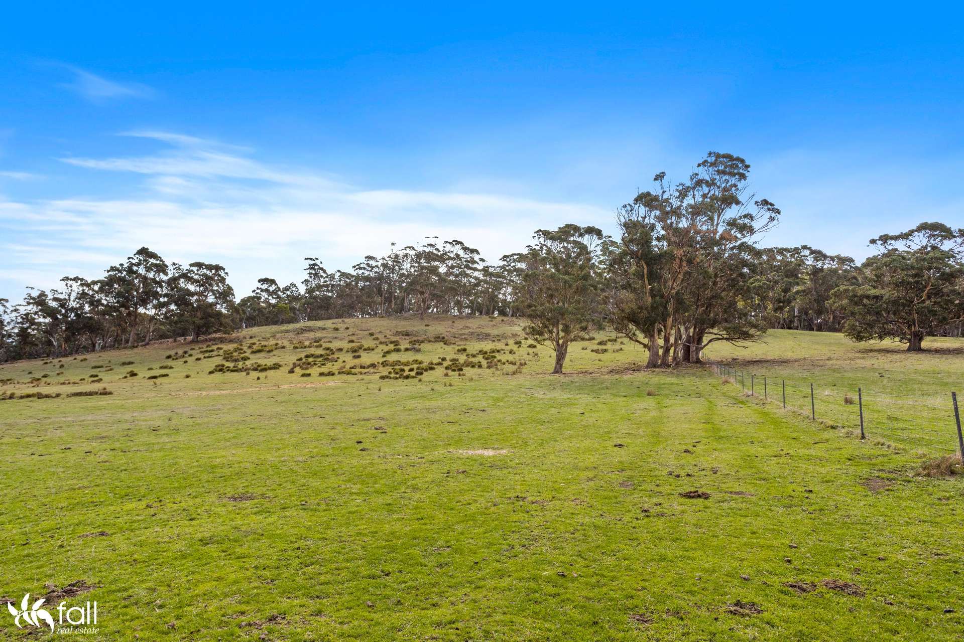 441 Tinderbox Road, Tinderbox For Sale by Farmbuy.com - image 34