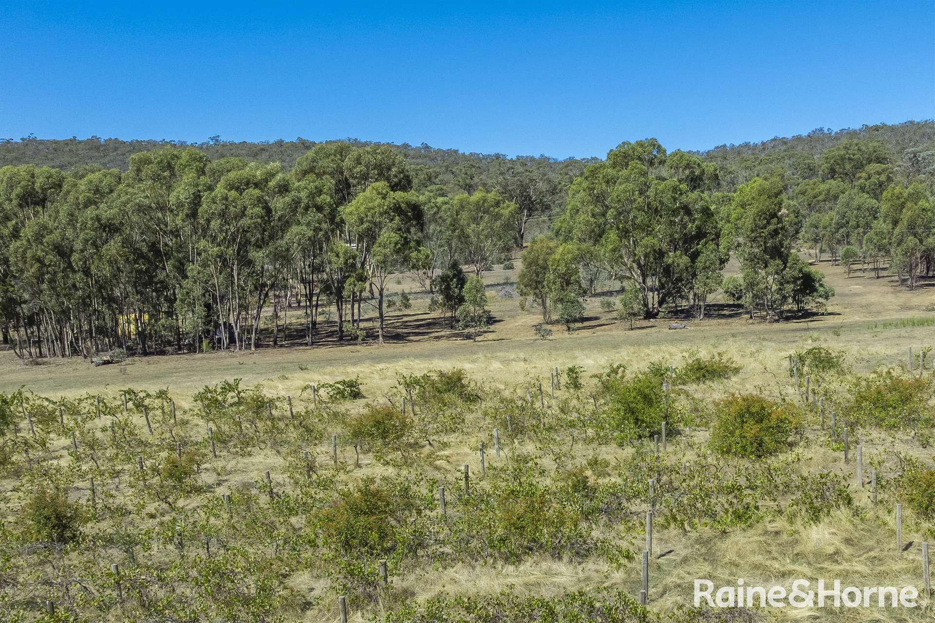 1000 Northern Highway, Ladys Pass For Sale by Farmbuy.com - image 14
