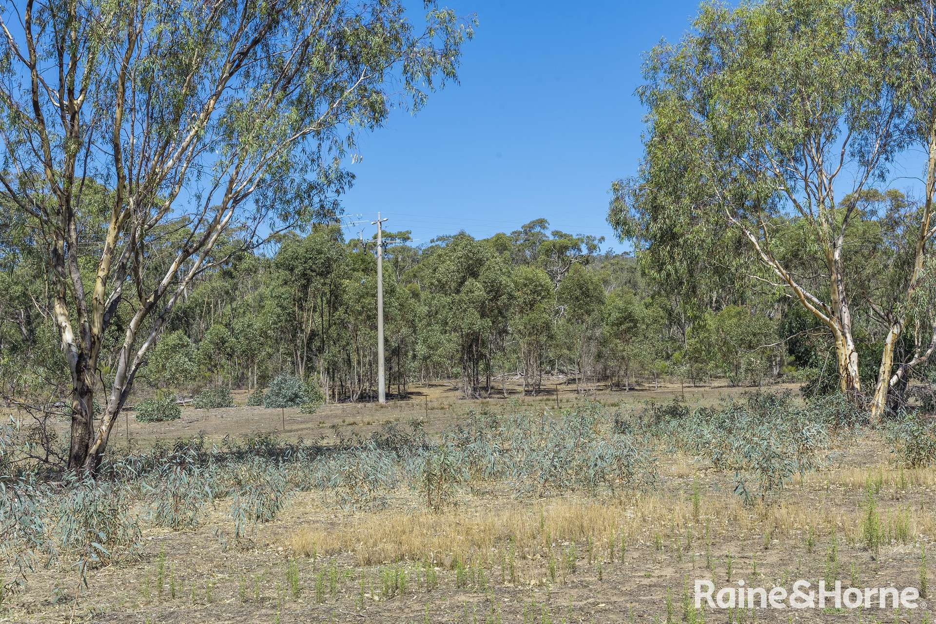 1000 Northern Highway, Ladys Pass For Sale by Farmbuy.com - image 32