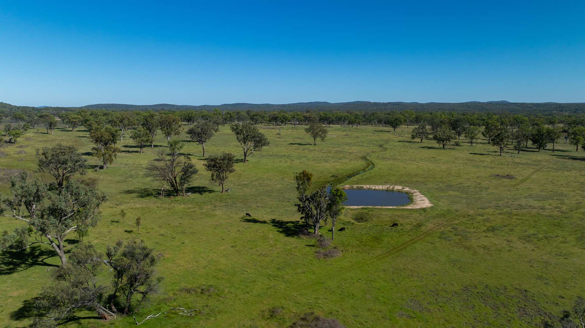 Inverell For Sale by Farmbuy.com - image 5