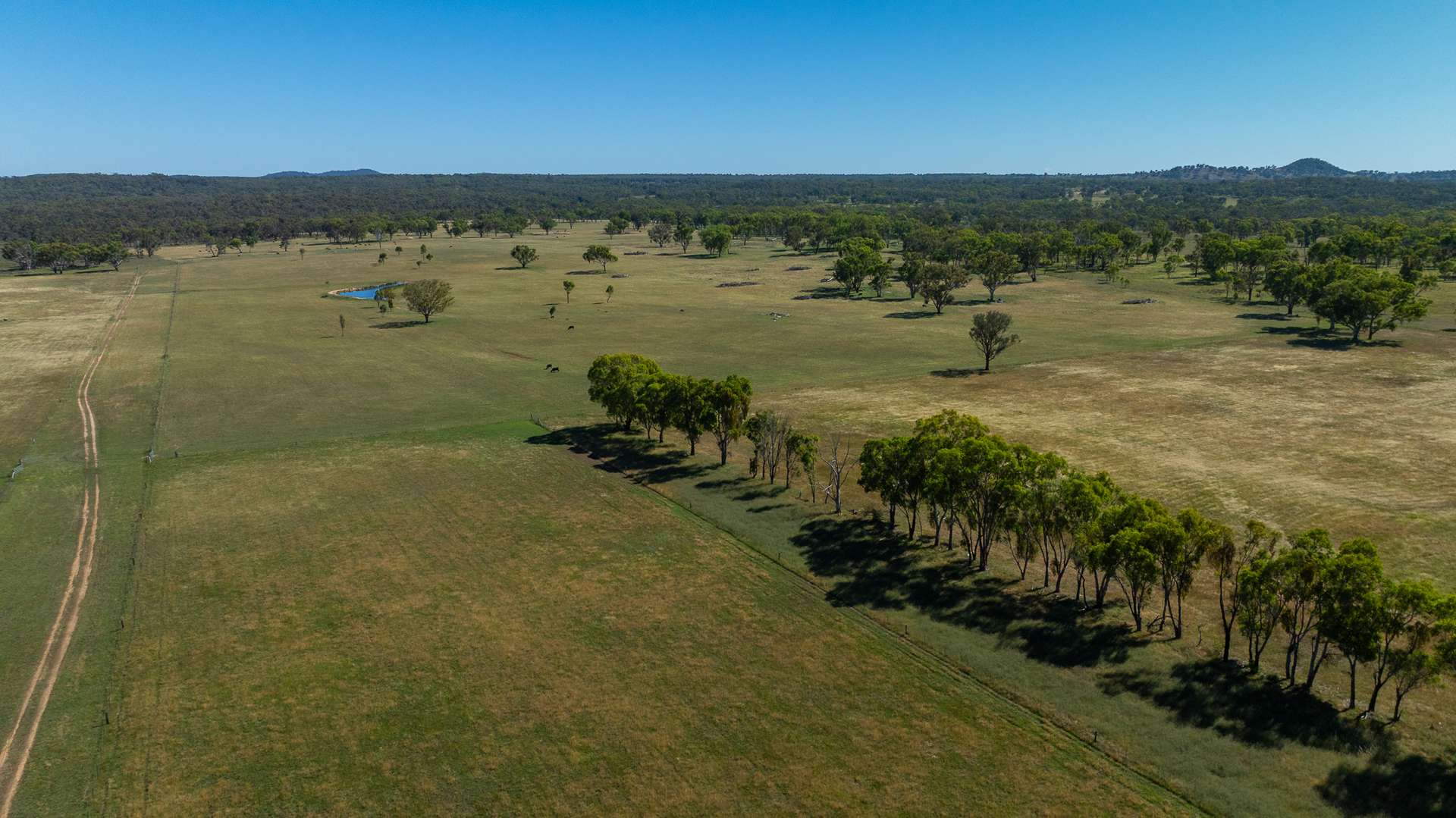 Inverell For Sale by Farmbuy.com - image 29